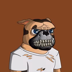 Dog 903
