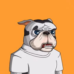 Dog 1633