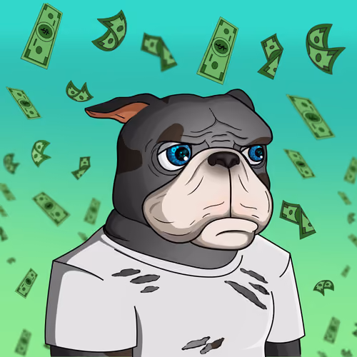 Dog 713