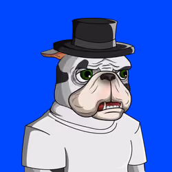 Dog 1767