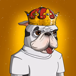 Dog 1668