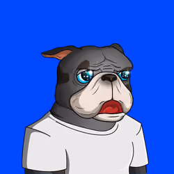 Dog 961
