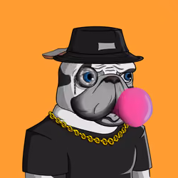 Dog 1772