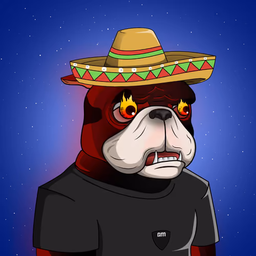 Dog 213