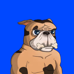 Dog 919