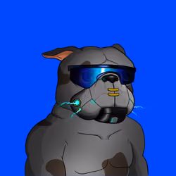 Dog 701