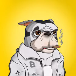 Dog 1748