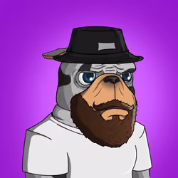 Dog 1079