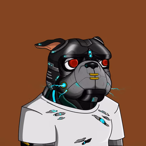 Dog 527