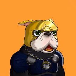 Dog 772
