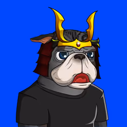 Dog 1667