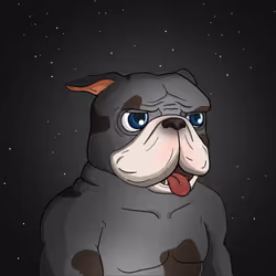 Dog 725