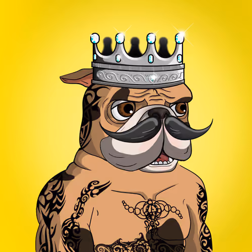 Dog 242