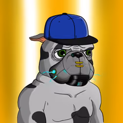Dog 1679