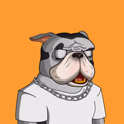 Dog 1478