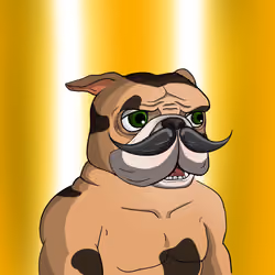 Dog 593