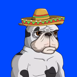 Dog 1181
