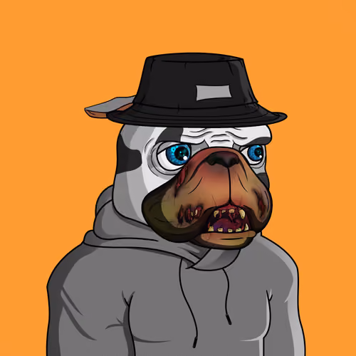 Dog 1575