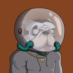 Dog 197
