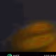 360