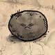 1036