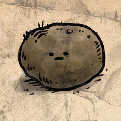 205