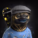29