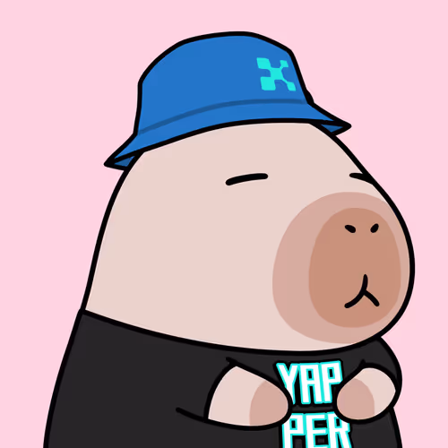 Yapybara #1269