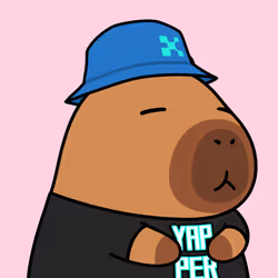 Yapybara #207