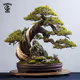 Tradman’s Bonsai