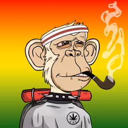 Stoner Ape #6622