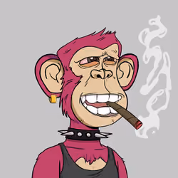 Stoner Ape #4260