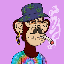 Stoner Ape #2673