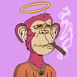 Stoner Ape #144