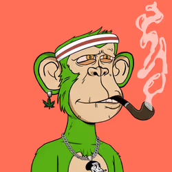 Stoner Ape #3284