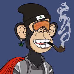 Stoner Ape #2484