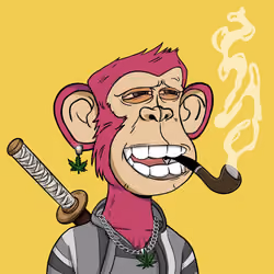 Stoner Ape #204