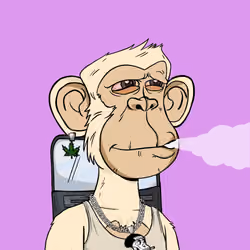 Stoner Ape #802