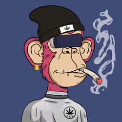 Stoner Ape #2360