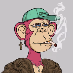 Stoner Ape #351