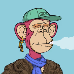 Stoner Ape #2893