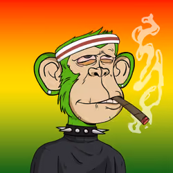 Stoner Ape #554