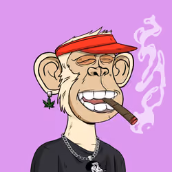 Stoner Ape #4208