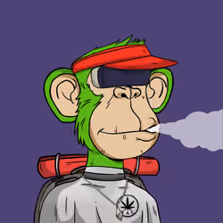 Stoner Ape #6130