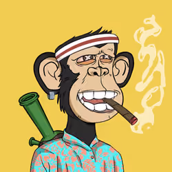 Stoner Ape #4581