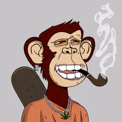 Stoner Ape #4685