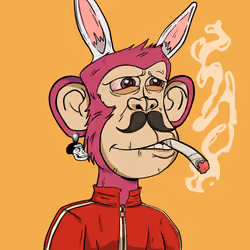 Stoner Ape #1531
