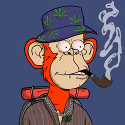 Stoner Ape #3383
