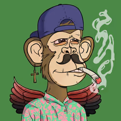 Stoner Ape #5640