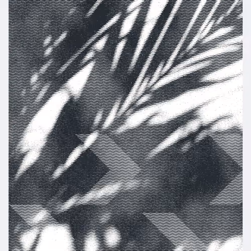 Flora #4